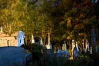 cemetary