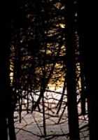 fake_sunset