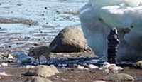 documentation_glacier