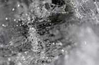 glace