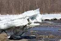 monstre_de_neige