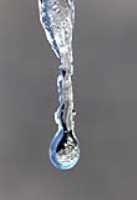 paysage_inverse_dans_goutte