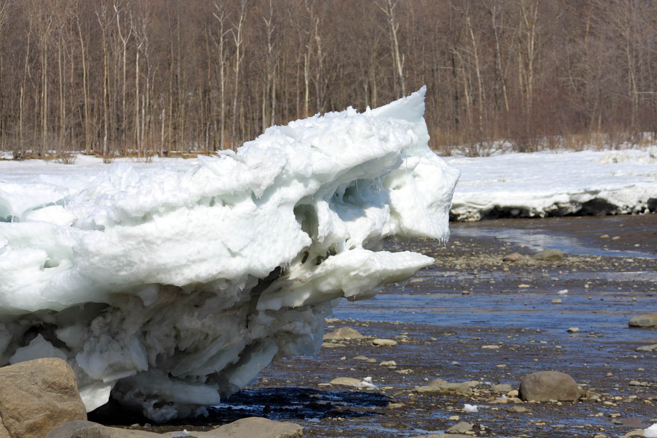 monstre_de_neige