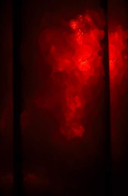 red_salt