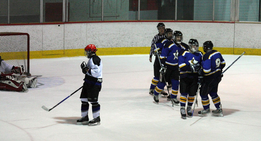 hockey_24