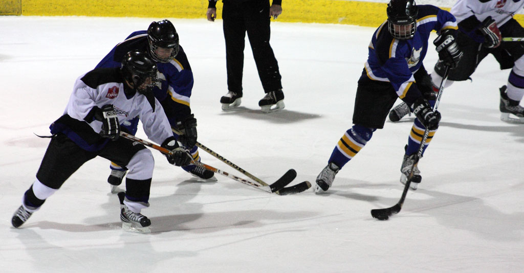 hockey_33