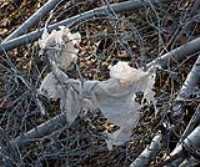 barbed_wire