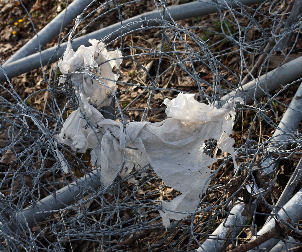barbed_wire