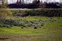 paysage