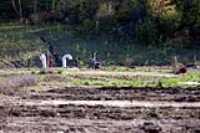 planteurs_cours