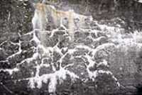 graffiti_naturel