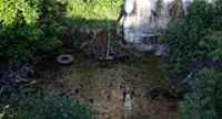 nature_morte