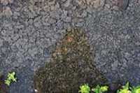 reflet_eau