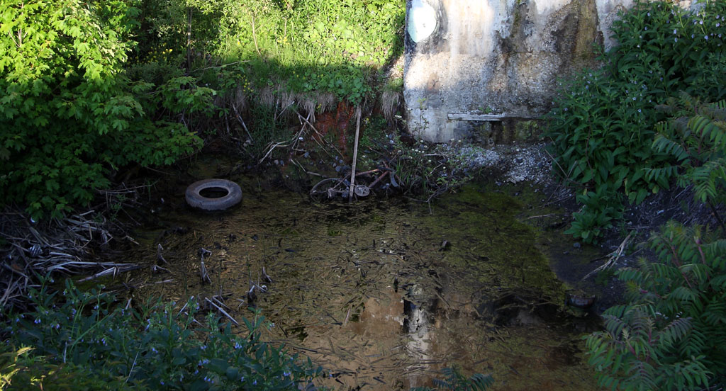 nature_morte