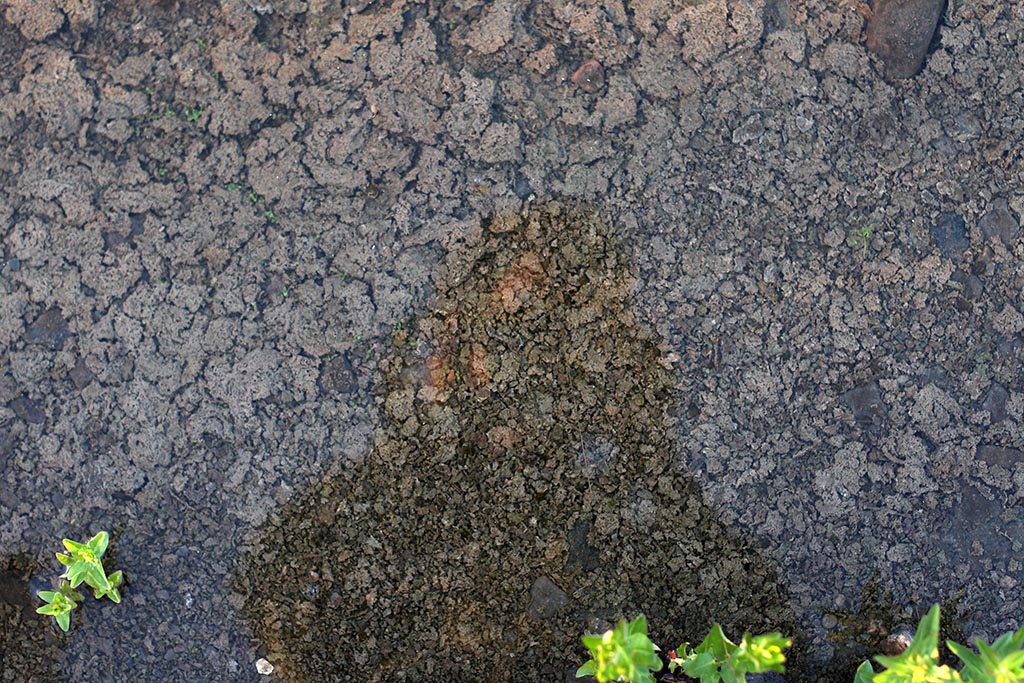 reflet_eau