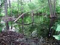 marais