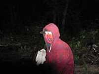 pusher_des_bois