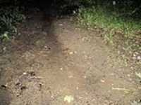 sentier_de_terre_nuit