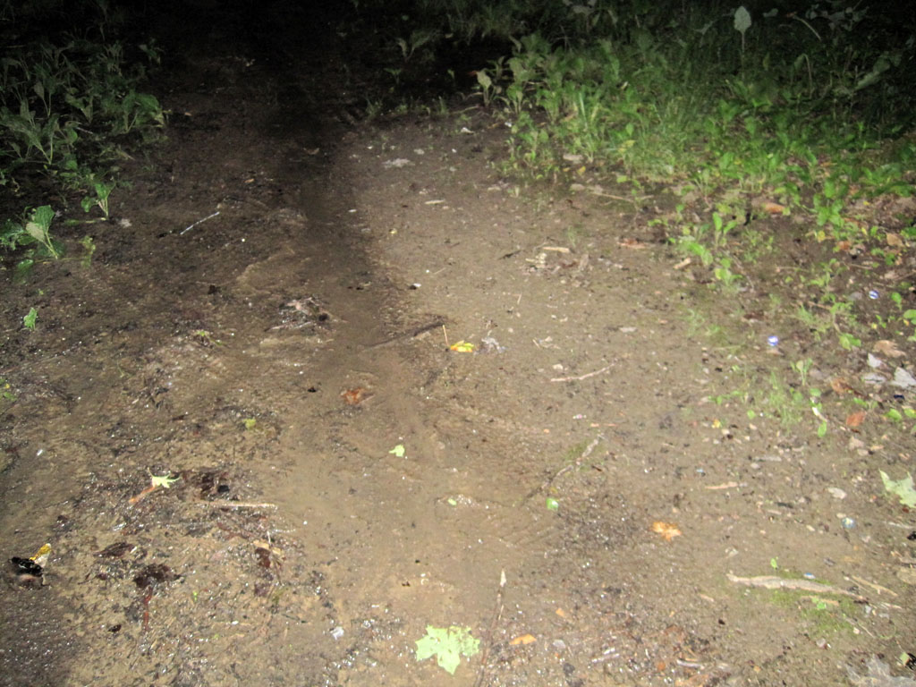 sentier_de_terre_nuit