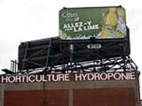 hydroponic_beer