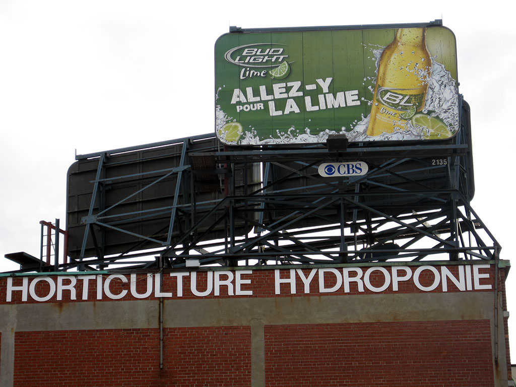 hydroponic_beer