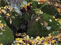 mini_grotte
