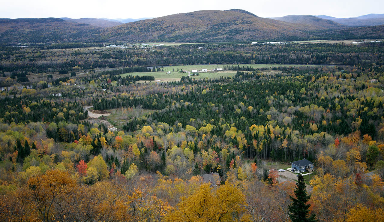 landscape