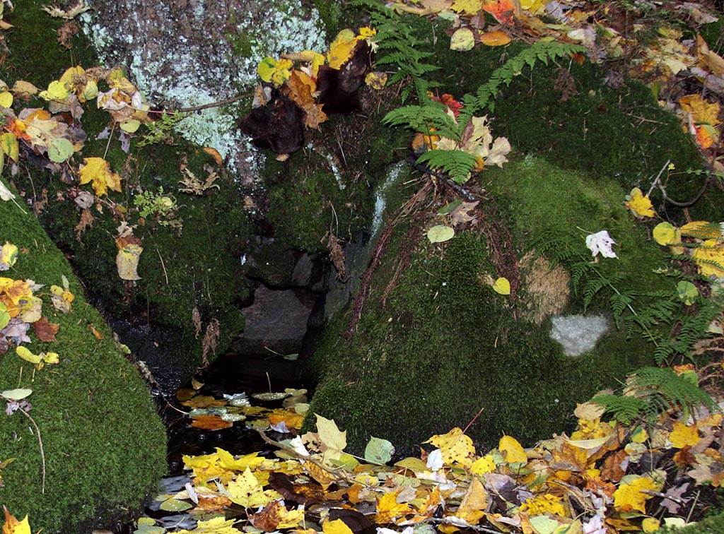 mini_grotte
