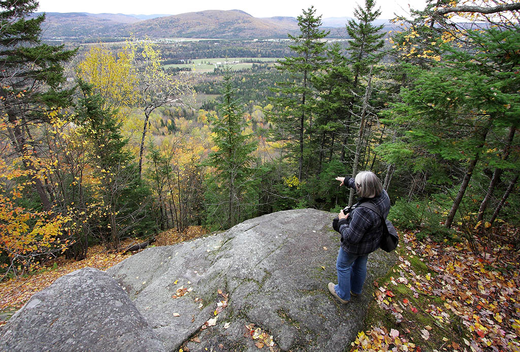 observation_rock_danie