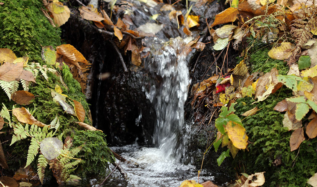 waterfall