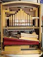 no_front_organ