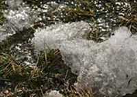 soupe_herbes_glace