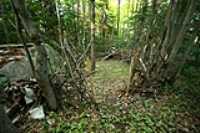weird_camp