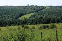 landscape_auto