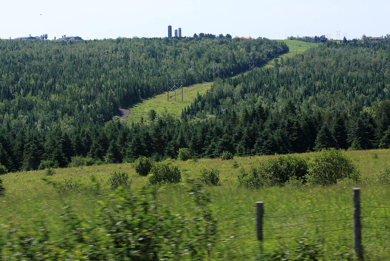 landscape_auto