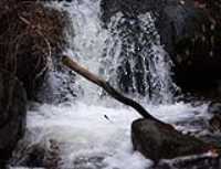 chute_figee
