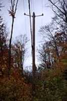 electricite_dans_le_bois