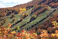 pistes_de_ski_ete