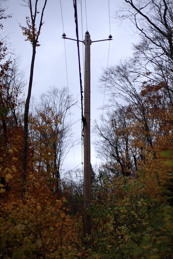 electricite_dans_le_bois