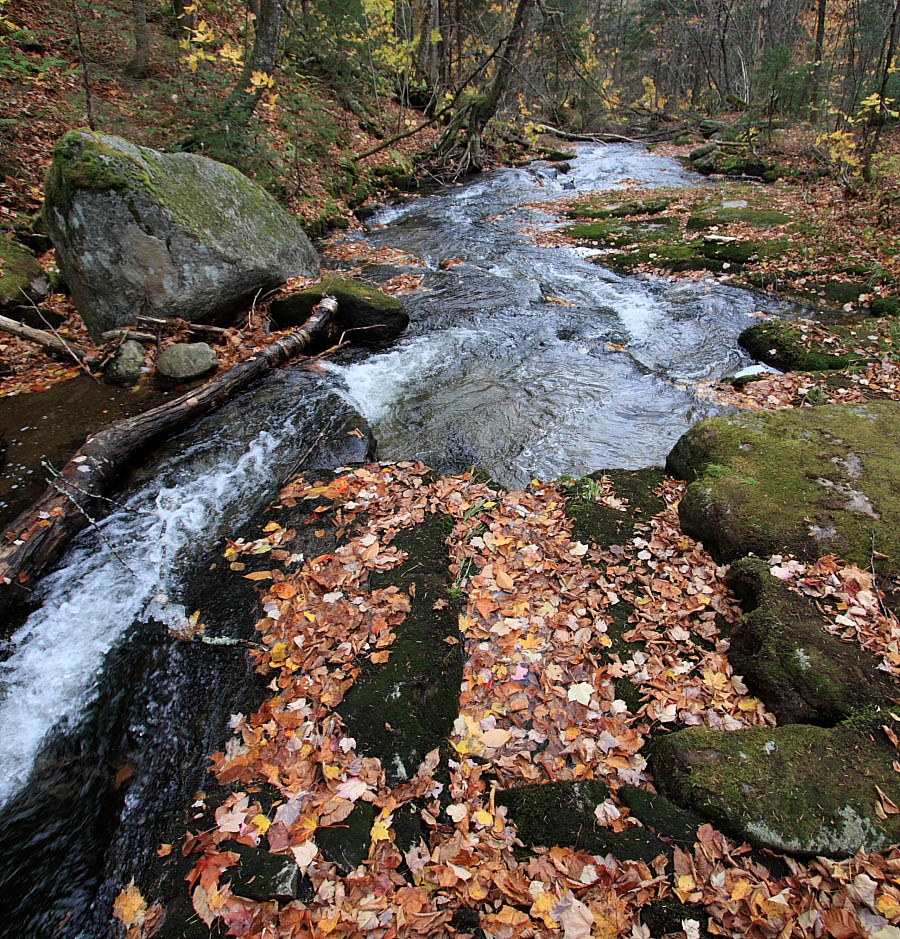 ruisseau_grand_angle