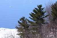 faux_paysage
