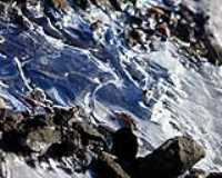 glace_roche_macro
