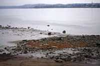 grey_shore