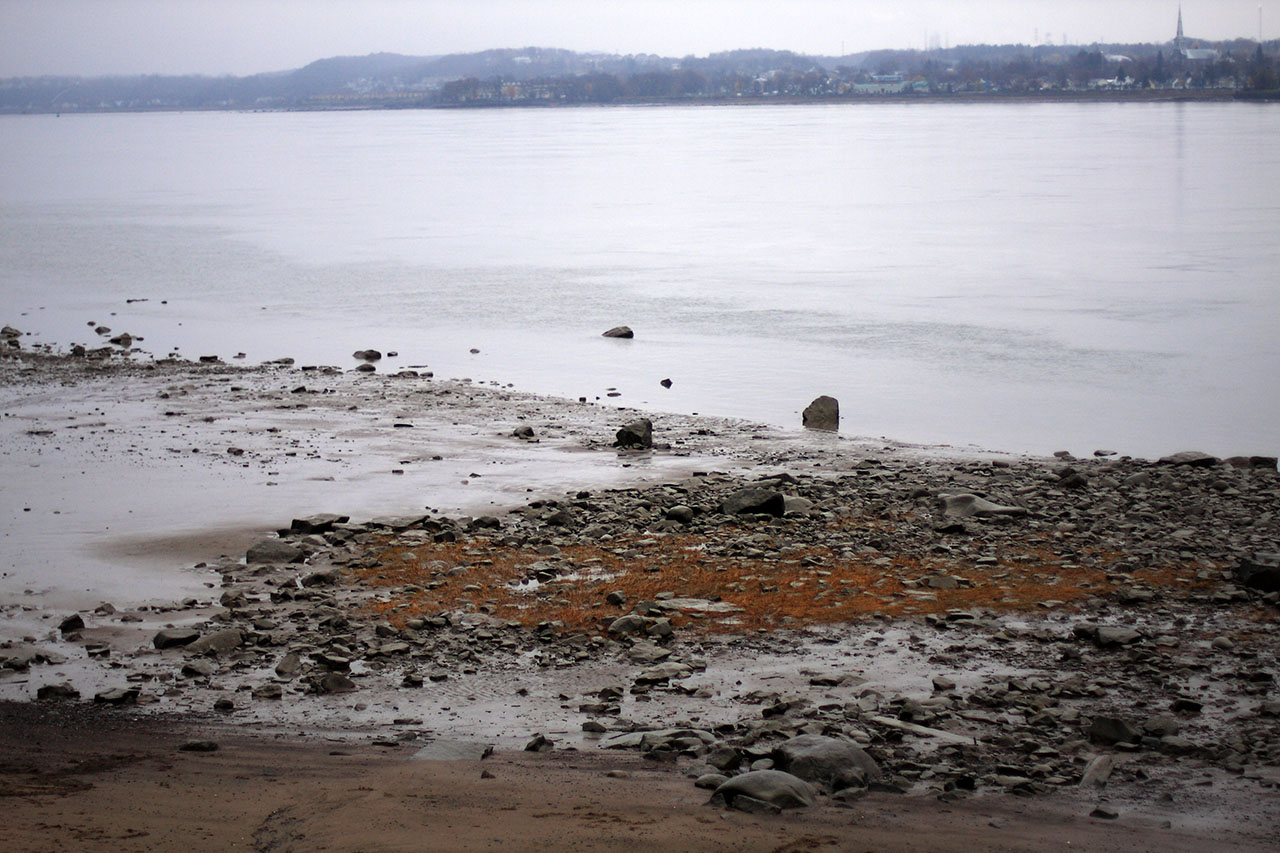 grey_shore