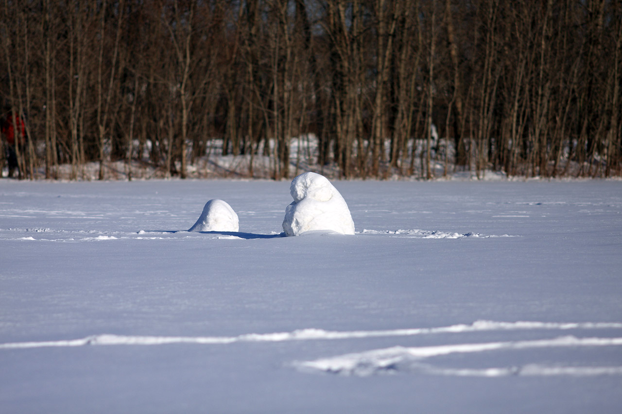 snowballs