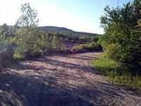 sgs_rally_reconnaissance_C