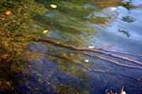 big_damn_lake_02