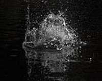 big_damn_lake_06
