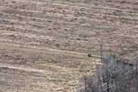 07_2013_04_cap_tourmente