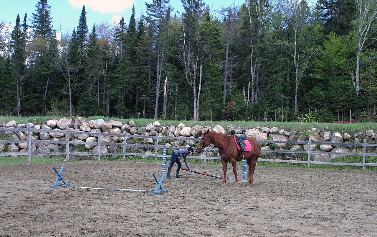2013_05_ecurie_03